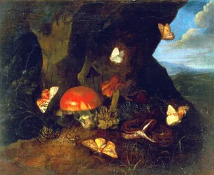 Undergrowth and Wildlife